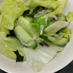野菜メイン！生野菜サラダご飯！